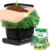 Miracle-Gro AeroGarden Harvest with Gourmet Herbs Seed Pod Kit, Black   563997019